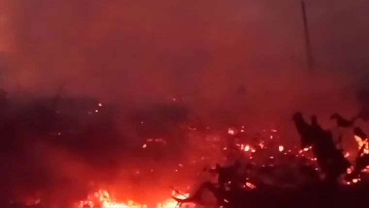 Imagem ilustrativa da notícia Incêndio florestal ameaça vila ribeirinha em Breves