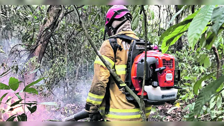 Imagem ilustrativa da notícia Pará: Bombeiros terão R$ 45 milhões para combater incêndios