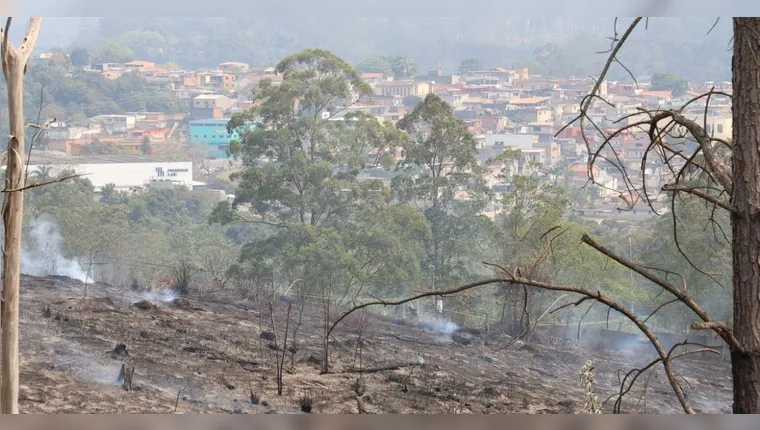 Imagem ilustrativa da notícia São Paulo amanhece com 11 municípios com focos de incêndio