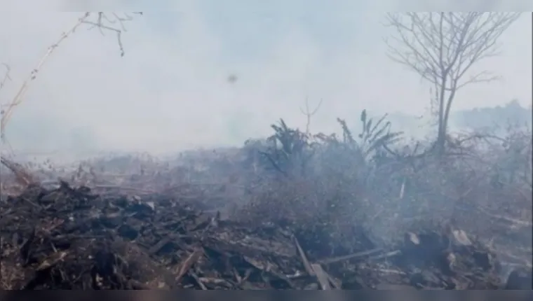 Imagem ilustrativa da notícia Incêndio no Marajó consome Amazônia há três semanas