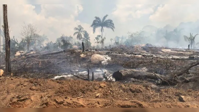 Imagem ilustrativa da notícia PC prende suspeito por incêndio em assentamento no Pará