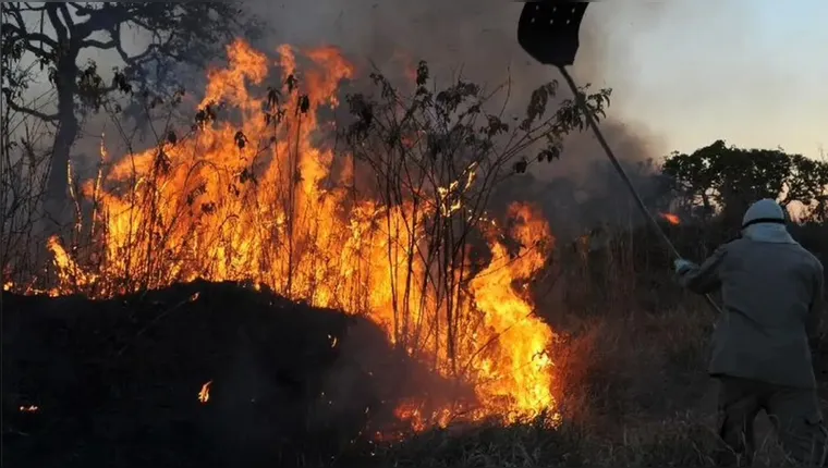 Imagem ilustrativa da notícia Brasil tem mais de 2 mil focos de incêndio