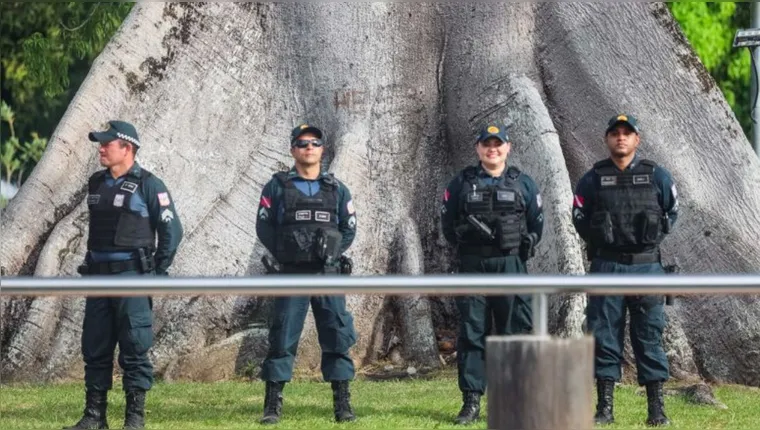 Imagem ilustrativa da notícia Pará reduz criminalidade e tem melhor mês na linha histórica