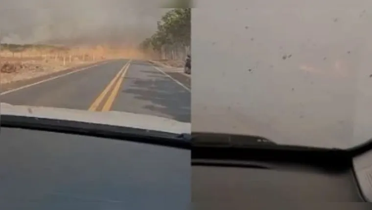 Imagem ilustrativa da notícia Fumaça de incêndios em rodovias requer atenção de motoristas