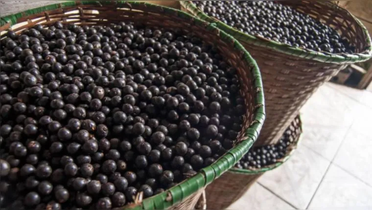 Imagem ilustrativa da notícia Reutilização do caroço de açaí é fonte de renda no Pará