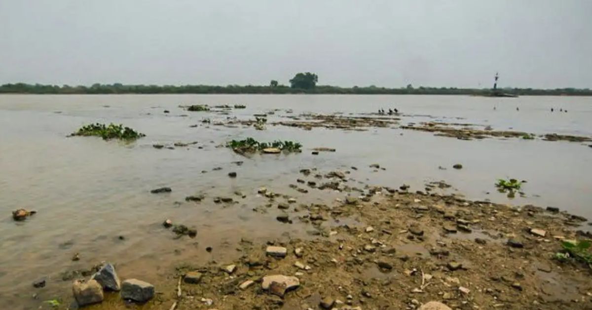 Seca histórica assola a maior planície alagada do mundo