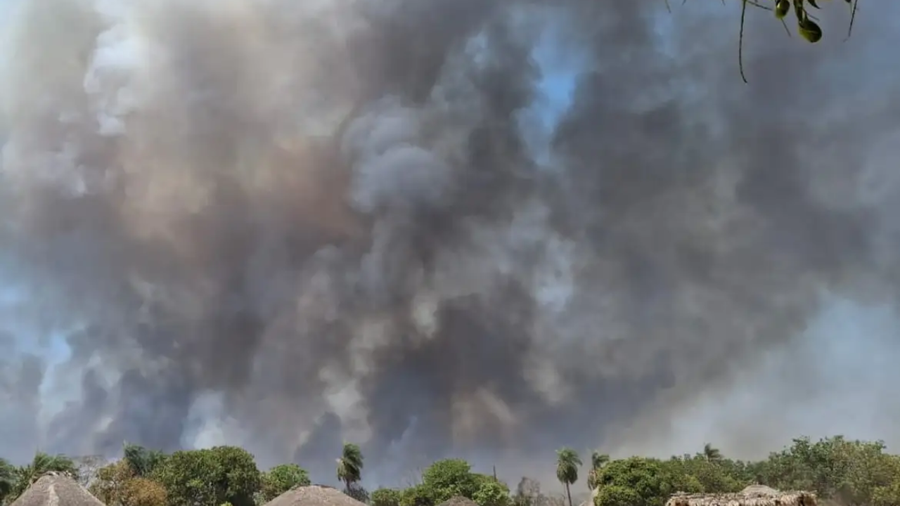 Incêndios em terras indígenas aumentaram mais de 80% no período