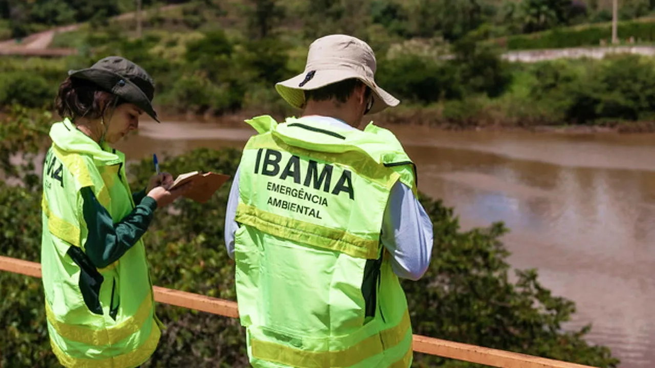 O Instituto Brasileiro do Meio Ambiente e dos Recursos Naturais Renováveis (Ibama) está com o prazo para inscrição chegando ao fim