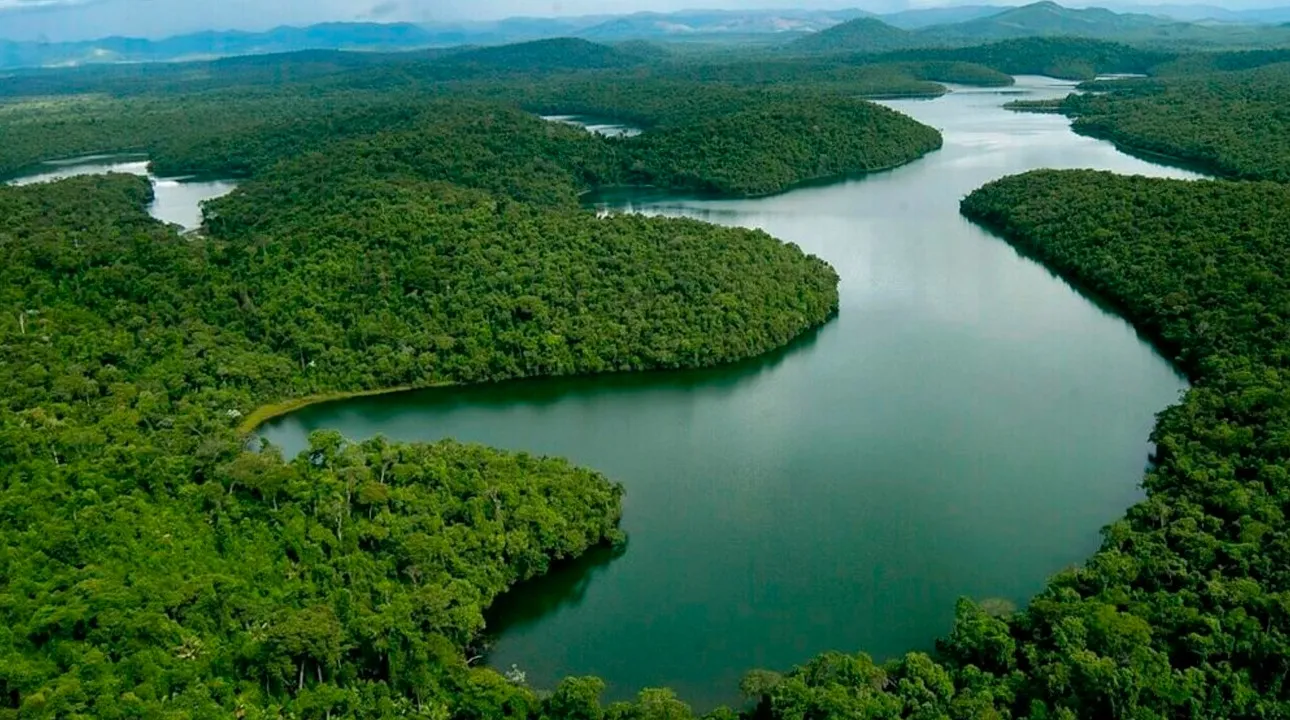 agricultura foi um dos principais fatores de alteração na paisagem, com a expansão de áreas destinadas ao cultivo de soja e cana-de-açúcar, que juntas ocuparam 12,4 milhões de hectares entre 1985 e 2023.