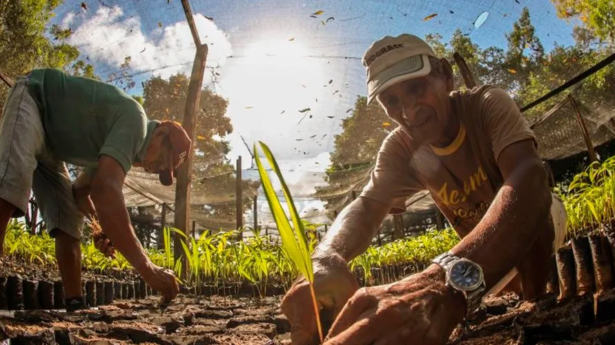 Esse trabalho tem impactado diretamente a economia local, proporcionando à população ribeirinha e rural novas fontes de geração de renda e segurança alimentar.