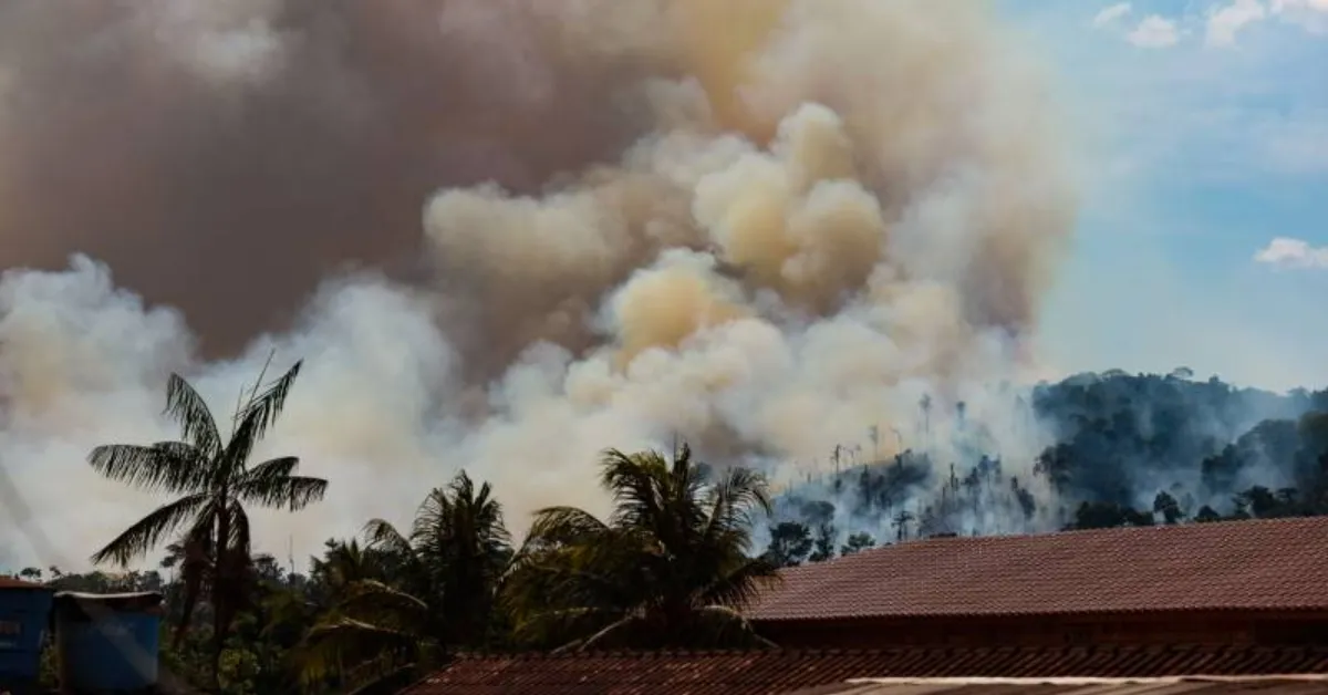 Cerca de 38 incêndios florestais foram registrados no Pará