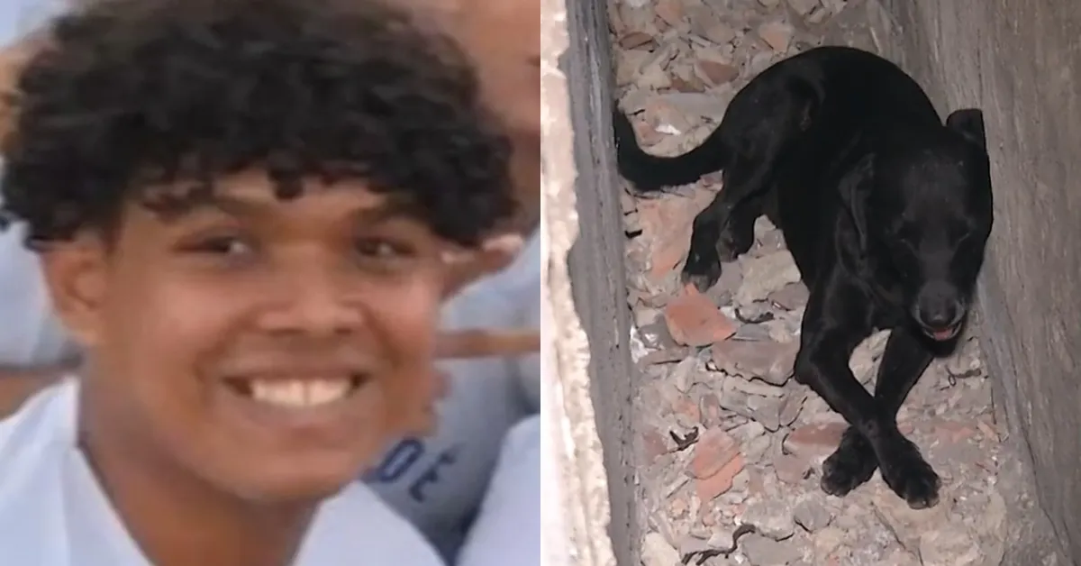 Cachorro foi baleado durante tentativa de assalto que vitimou jovem de 20 anos.