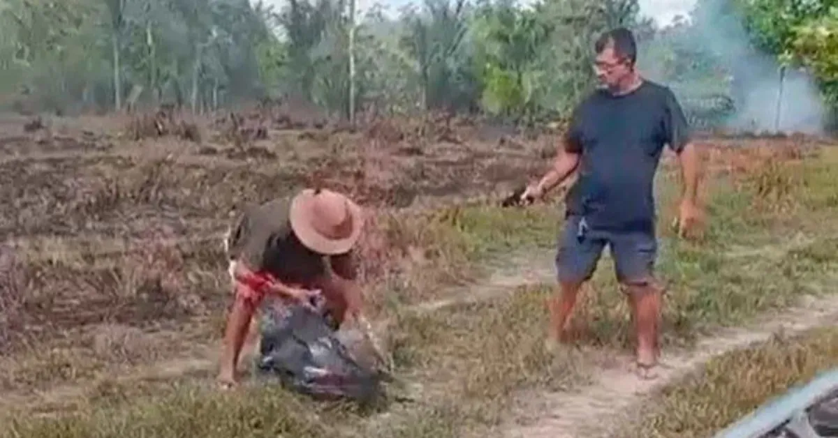 A polícia investiga se o crime foi premeditado.