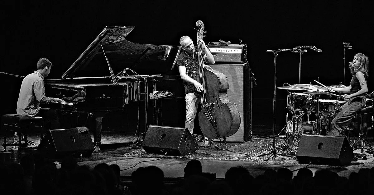 Considerado um dos grandes nomes do jazz atual, o contrabaixista israelense Avishai Cohen faz show na quinta-feira (28).