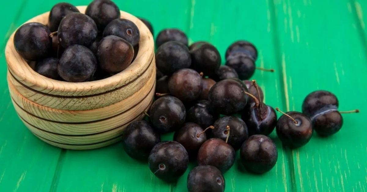 A jabuticaba é uma fruta rica em fonte de vitamina C, além de ter propriedades antioxidantes