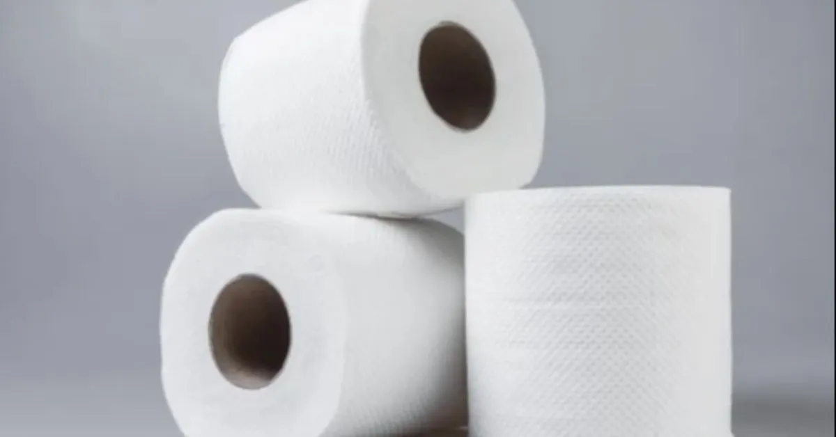 Invenção do papel higiênico revolucionou a higiene íntima. Saiba como era antes da criação desse produto!