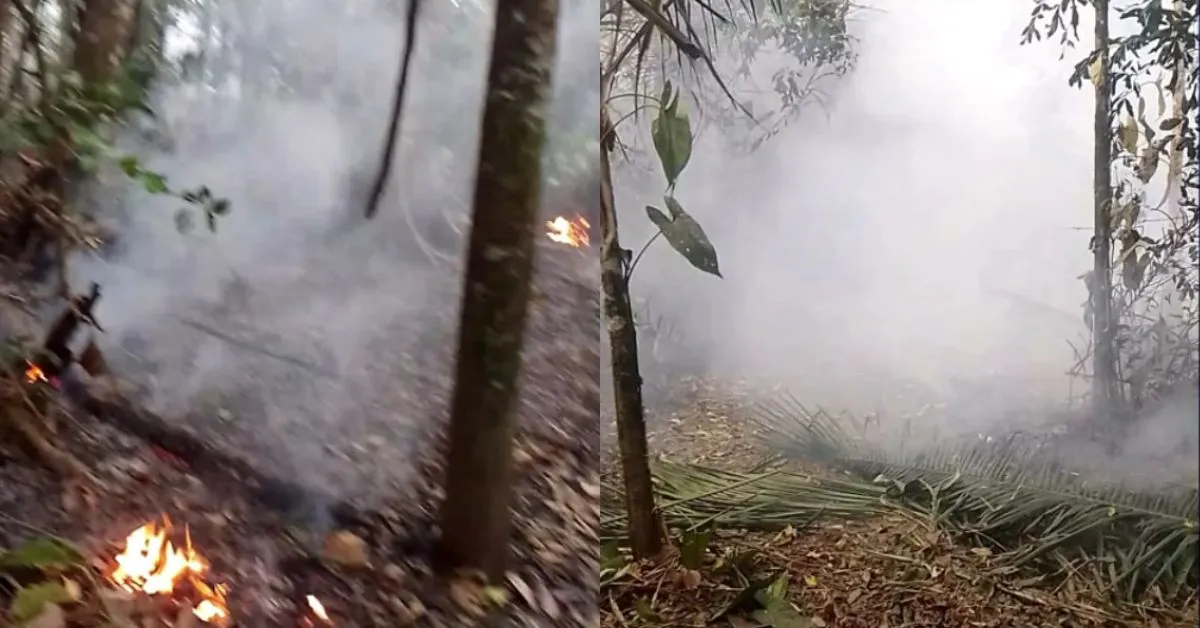 Imagem ilustrativa da notícia: Incêndio criminoso atinge ilha de Gurupá e alerta moradores