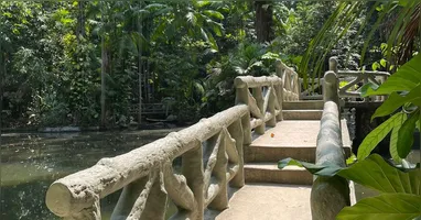 O Bosque Rodrigues Alves é uma ótima opção de lazer