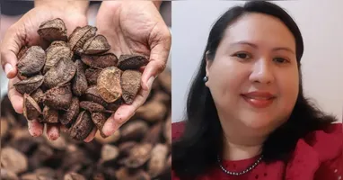 A historiadora Sidiana Macêdo explica que, para além da nomenclatura que foi historicamente construída, existe o sentimento de pertencimento e identidade do paraense com este alimento.