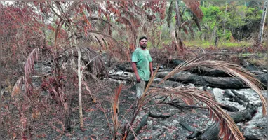 Mosqueiro: O DIÁRIO percorreu três comunidades da ilha, sendo duas atingidas diretamente pelos incêndios.