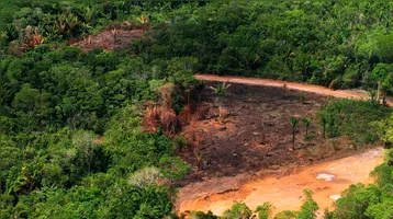 Essa região é um dos principais focos da operação, que busca zerar o desmatamento no Pará até 2030.