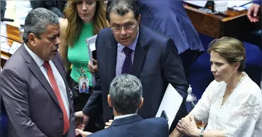 O principal projeto de regulamentação da reforma tributária, o Projeto de Lei Complementar 68/2024, foi aprovado nesta quinta-feira (12)