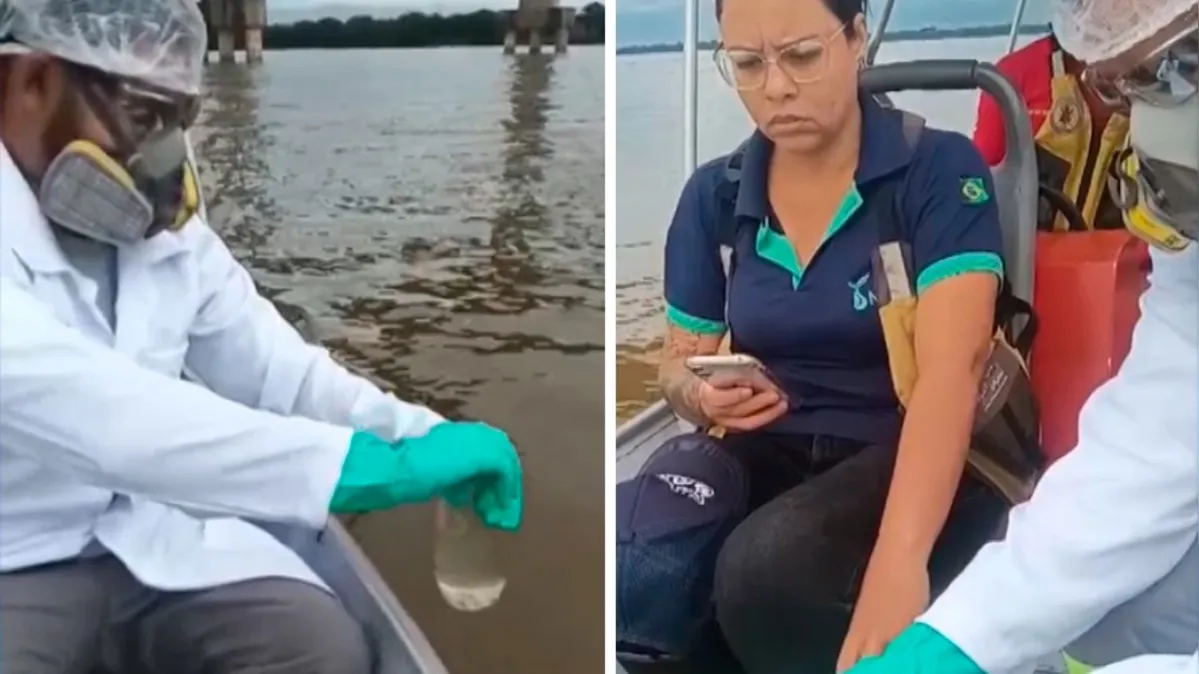 Imagem ilustrativa da notícia Vídeo: Defesa Civil monitora águas do rio Tocantins