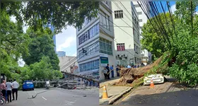 Uma árvore caiu na Praça Brasil, em Belém, causando a interrupção do fornecimento de energia.