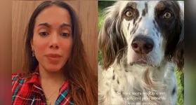 Anitta compartilhou um vídeo em que caminhava pela vizinhança procurando seu cachorro.