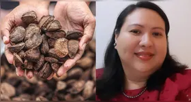 A historiadora Sidiana Macêdo explica que, para além da nomenclatura que foi historicamente construída, existe o sentimento de pertencimento e identidade do paraense com este alimento.