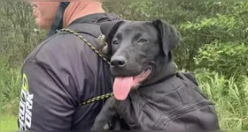 a cachorrinha perseguiu um grupo de ciclistas por impressionantes 15 km.