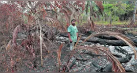 Mosqueiro: O DIÁRIO percorreu três comunidades da ilha, sendo duas atingidas diretamente pelos incêndios.