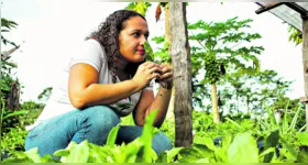 Amazônia Space: inovação e sustentabilidade.