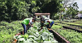 Portaria publicada pelo MEC amplia acesso ao ensino superior