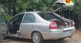 Artefatos encontrados pela PMDF em carro de homem que detonou explosivos na Praça dos Três Poderes |