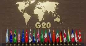 Imagem ilustrativa da notícia Ativista diz que G20 rejeita questões de gênero e raça