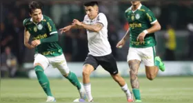 Palmeiras e Botafogo chegam na última rodada com chance de título