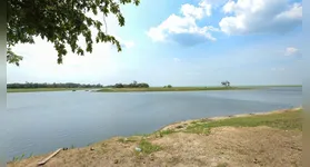 Lago Amanaraí, em Santarém, registrou mortandade de peixes