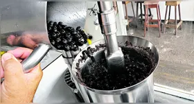 O preço do açaí segue aumentando nos pontos de vendas