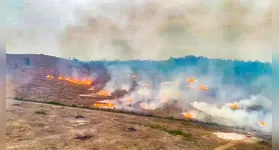 A operação faz parte das ações desenvolvidas na localidade, em apoio a Operação Fênix que visa o combate aos incêndios florestais no território paraense