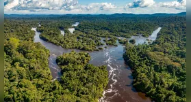 Ao todo, a ação abrange os municípios de Marabá, localizado na região sudeste do Estado, e os municípios da Região Metropolitana de Belém.