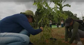 O indígena juruna Geilton Rodrigues Barros vem ajudando a plantar centenas de árvores da região e a restaurar 2,4 mil hectares de floresta amazônica.