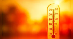 Os pesquisadores destacam a importância de limitar o aumento da temperatura a 1,5ºC, o que exigiria uma revisão das metas de emissão de gases do efeito estufa do Brasil, consideradas atualmente insuficientes.