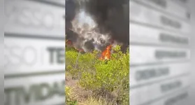 O incêndio de grandes proporções devastou grande área da Comunidade Lamparina, em Prainha.