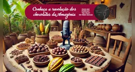 Imagem ilustrativa da notícia Conheça a revolução dos chocolates da Amazônia