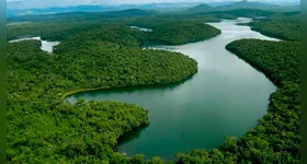 agricultura foi um dos principais fatores de alteração na paisagem, com a expansão de áreas destinadas ao cultivo de soja e cana-de-açúcar, que juntas ocuparam 12,4 milhões de hectares entre 1985 e 2023.