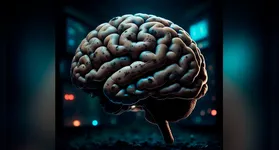 O debate em torno de "brain rot" conecta questões culturais e tecnológicas, reforçando sua pertinência na compreensão do mundo contemporâneo.