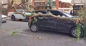 Apesar do susto, apenas danos materiais foram registrados.