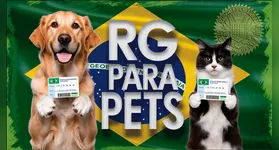 Cada animal receberá um número de identificação único e intransferível, composto por 15 dígitos.