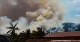 Cerca de 38 incêndios florestais foram registrados no Pará